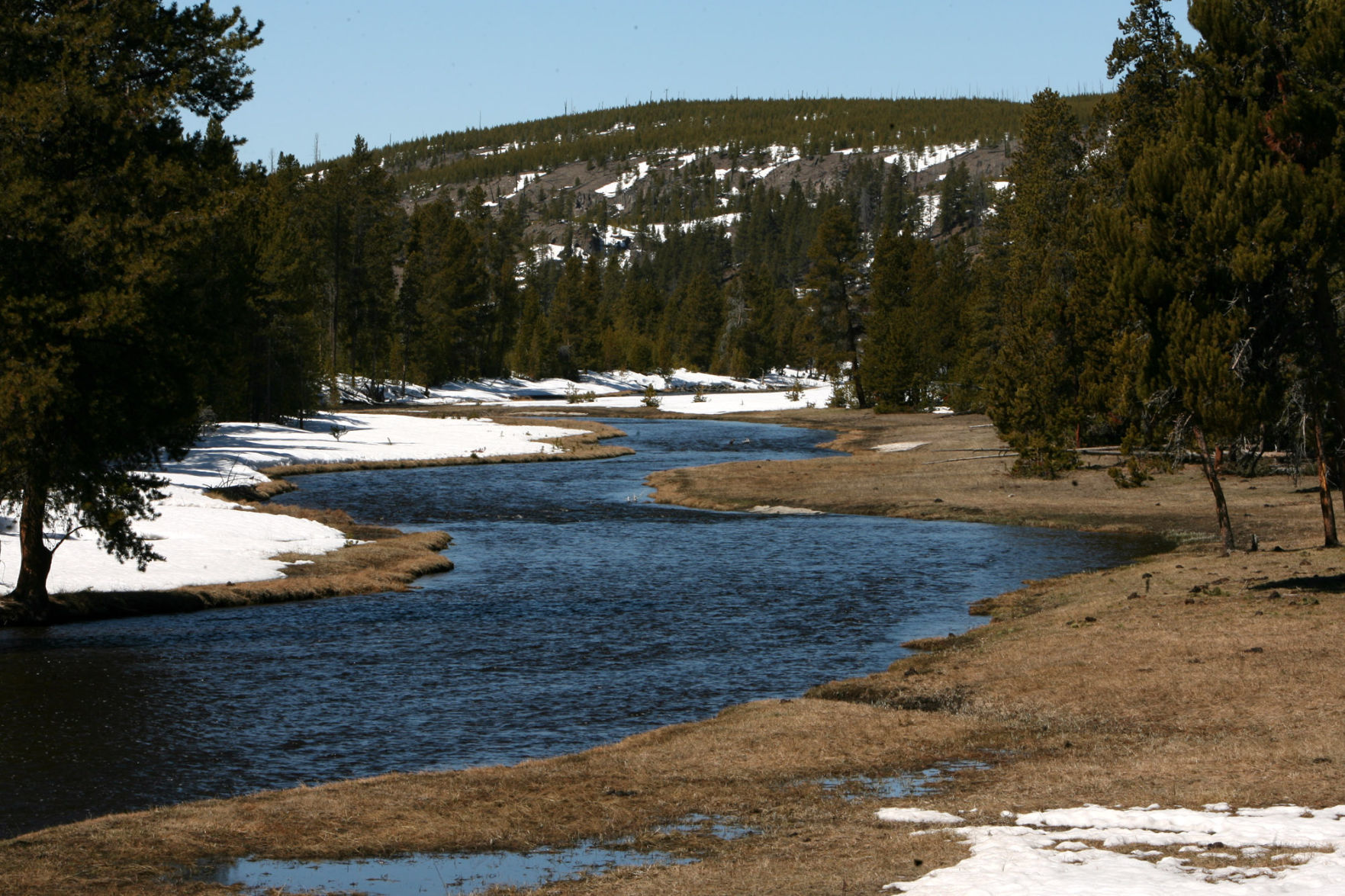 Nez Perce Creek